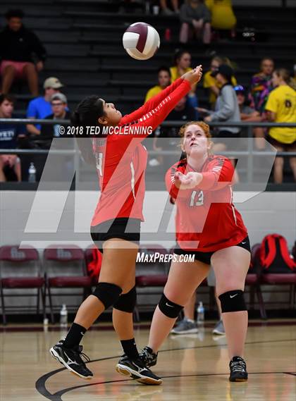 Thumbnail 2 in Hall vs Rose Bud photogallery.