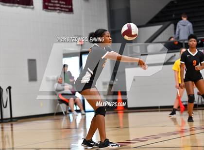 Thumbnail 3 in Hall vs Rose Bud photogallery.