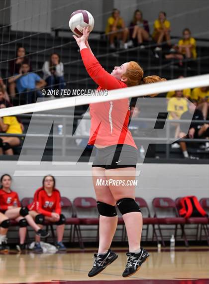 Thumbnail 1 in Hall vs Rose Bud photogallery.