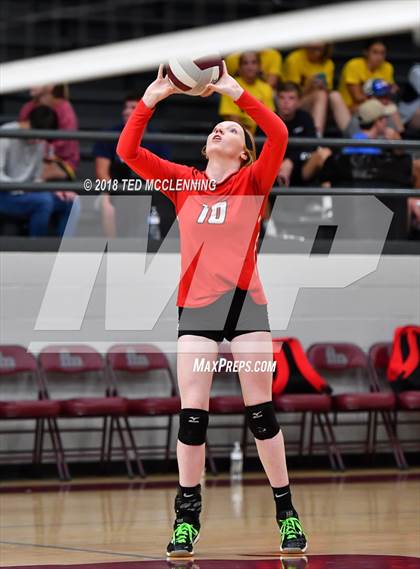 Thumbnail 2 in Hall vs Rose Bud photogallery.