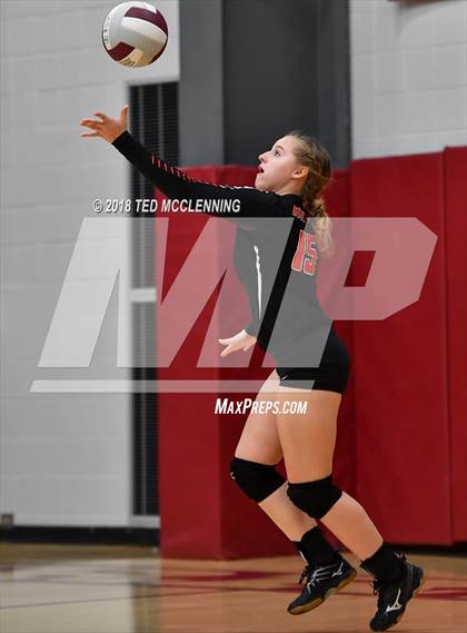 Thumbnail 3 in Hall vs Rose Bud photogallery.