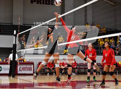 Thumbnail 1 in Hall vs Rose Bud photogallery.