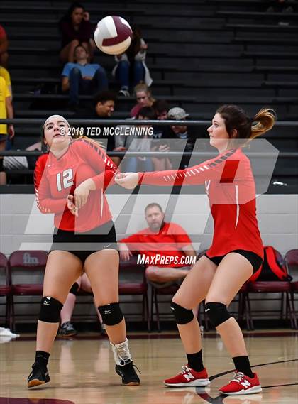 Thumbnail 3 in Hall vs Rose Bud photogallery.