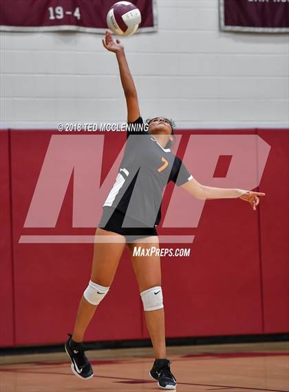 Thumbnail 2 in Hall vs Rose Bud photogallery.