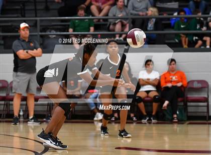 Thumbnail 2 in Hall vs Rose Bud photogallery.