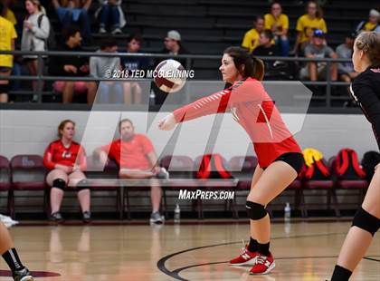 Thumbnail 3 in Hall vs Rose Bud photogallery.