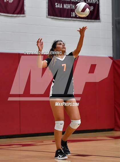 Thumbnail 2 in Hall vs Rose Bud photogallery.