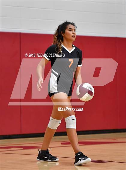 Thumbnail 1 in Hall vs Rose Bud photogallery.