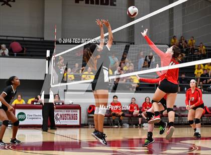 Thumbnail 1 in Hall vs Rose Bud photogallery.