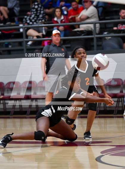 Thumbnail 3 in Hall vs Rose Bud photogallery.