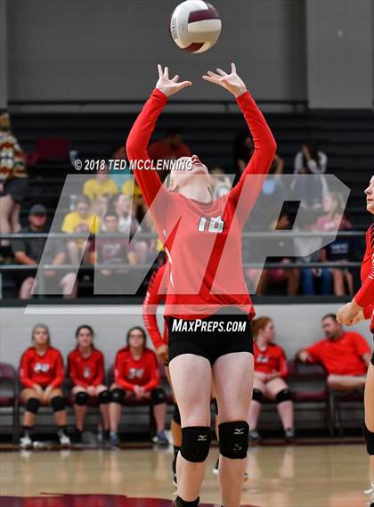 Thumbnail 1 in Hall vs Rose Bud photogallery.