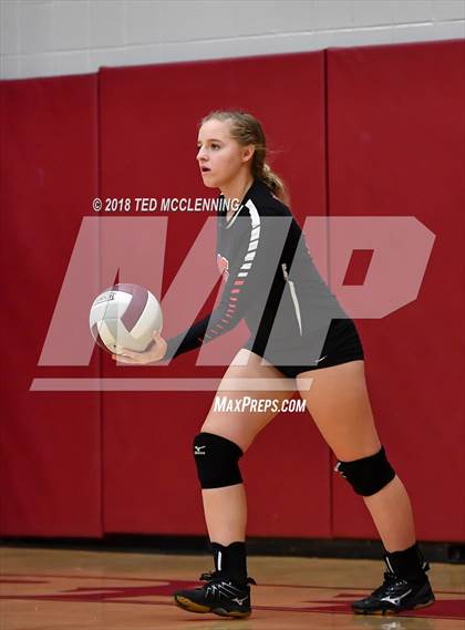 Thumbnail 2 in Hall vs Rose Bud photogallery.