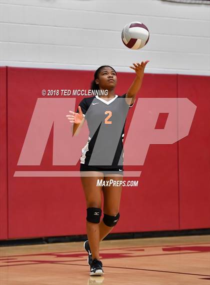 Thumbnail 2 in Hall vs Rose Bud photogallery.