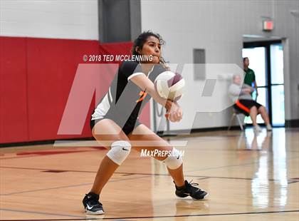 Thumbnail 3 in Hall vs Rose Bud photogallery.