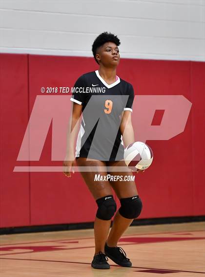 Thumbnail 1 in Hall vs Rose Bud photogallery.