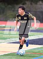 Photo from the gallery "American @ Hayward"