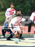Photo from the gallery "American @ Hayward"