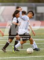 Photo from the gallery "Washington @ James Logan"