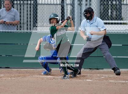 Thumbnail 3 in Los Altos @ Homestead photogallery.