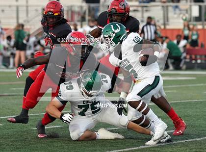 Thumbnail 2 in Arlington @ Cedar Hill photogallery.