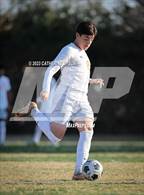 Photo from the gallery "Poly @ Norte Vista (Norte Vista Classic)"