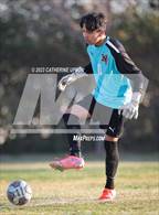 Photo from the gallery "Poly @ Norte Vista (Norte Vista Classic)"