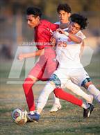 Photo from the gallery "Poly @ Norte Vista (Norte Vista Classic)"
