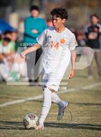 Photo from the gallery "Poly @ Norte Vista (Norte Vista Classic)"