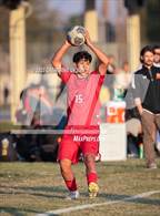 Photo from the gallery "Poly @ Norte Vista (Norte Vista Classic)"