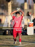 Photo from the gallery "Poly @ Norte Vista (Norte Vista Classic)"