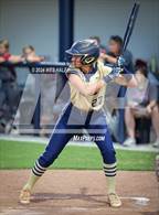 Photo from the gallery "Munford @ Arlington"