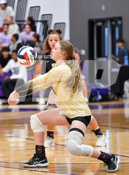 Thumbnail 1 in Thrall vs Rogers photogallery.