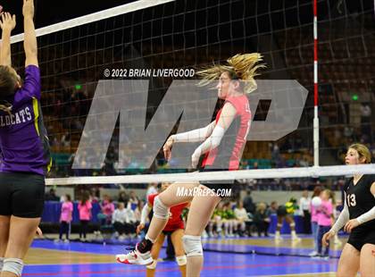 Thumbnail 2 in Kit Carson vs. La Veta (CHSAA 1A State Championship Round 1) photogallery.