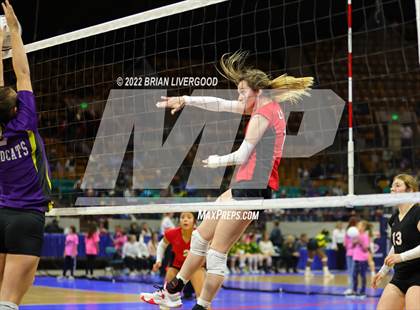 Thumbnail 1 in Kit Carson vs. La Veta (CHSAA 1A State Championship Round 1) photogallery.