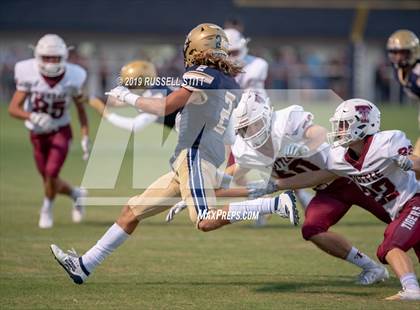 Thumbnail 1 in Tuttle vs Kingfisher photogallery.