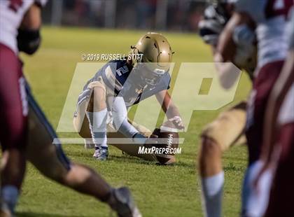 Thumbnail 3 in Tuttle vs Kingfisher photogallery.