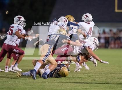 Thumbnail 1 in Tuttle vs Kingfisher photogallery.