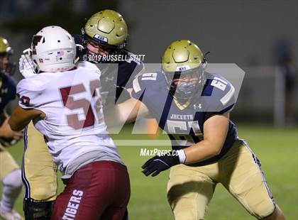 Thumbnail 2 in Tuttle vs Kingfisher photogallery.