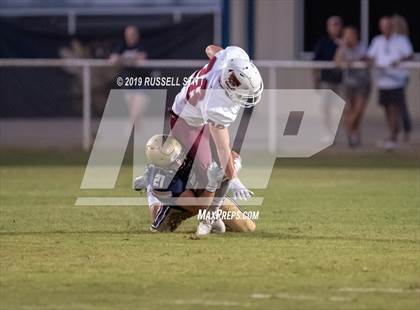 Thumbnail 1 in Tuttle vs Kingfisher photogallery.