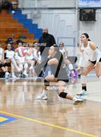 Photo from the gallery "Knight @ Quartz Hill"