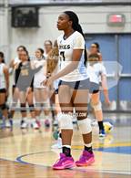 Photo from the gallery "Knight @ Quartz Hill"