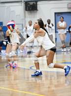 Photo from the gallery "Knight @ Quartz Hill"