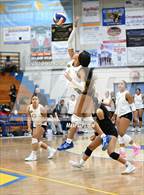 Photo from the gallery "Knight @ Quartz Hill"