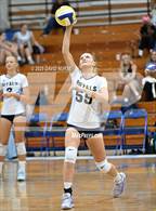 Photo from the gallery "Knight @ Quartz Hill"