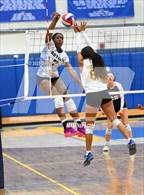 Photo from the gallery "Knight @ Quartz Hill"