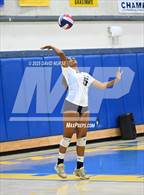 Photo from the gallery "Knight @ Quartz Hill"