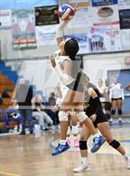 Photo from the gallery "Knight @ Quartz Hill"