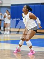 Photo from the gallery "Knight @ Quartz Hill"