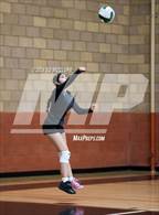 Photo from the gallery "Dymally @ Port of Los Angeles"