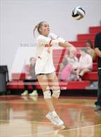 Photo from the gallery "Pickerington Central @ Sheridan"